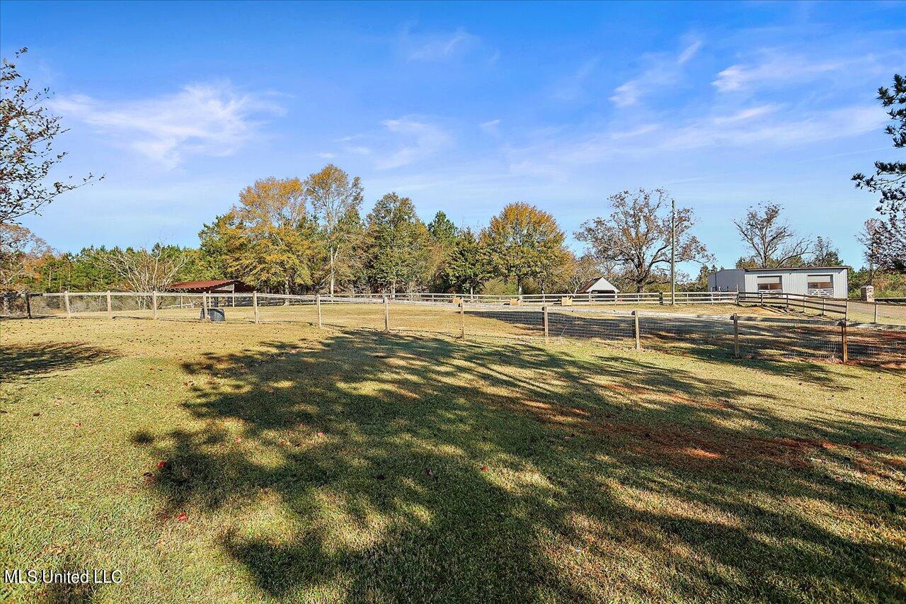 601 Henry Thurman Road Mount Olive, MS 39119 - Photo 50 of 86 50-601 Henry Thurman Rd