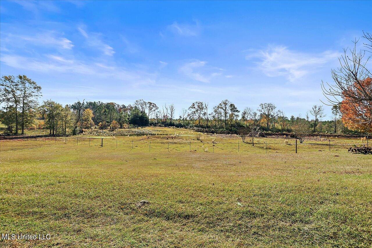 601 Henry Thurman Road Mount Olive, MS 39119 - Photo 51 of 86 52-601 Henry Thurman Rd