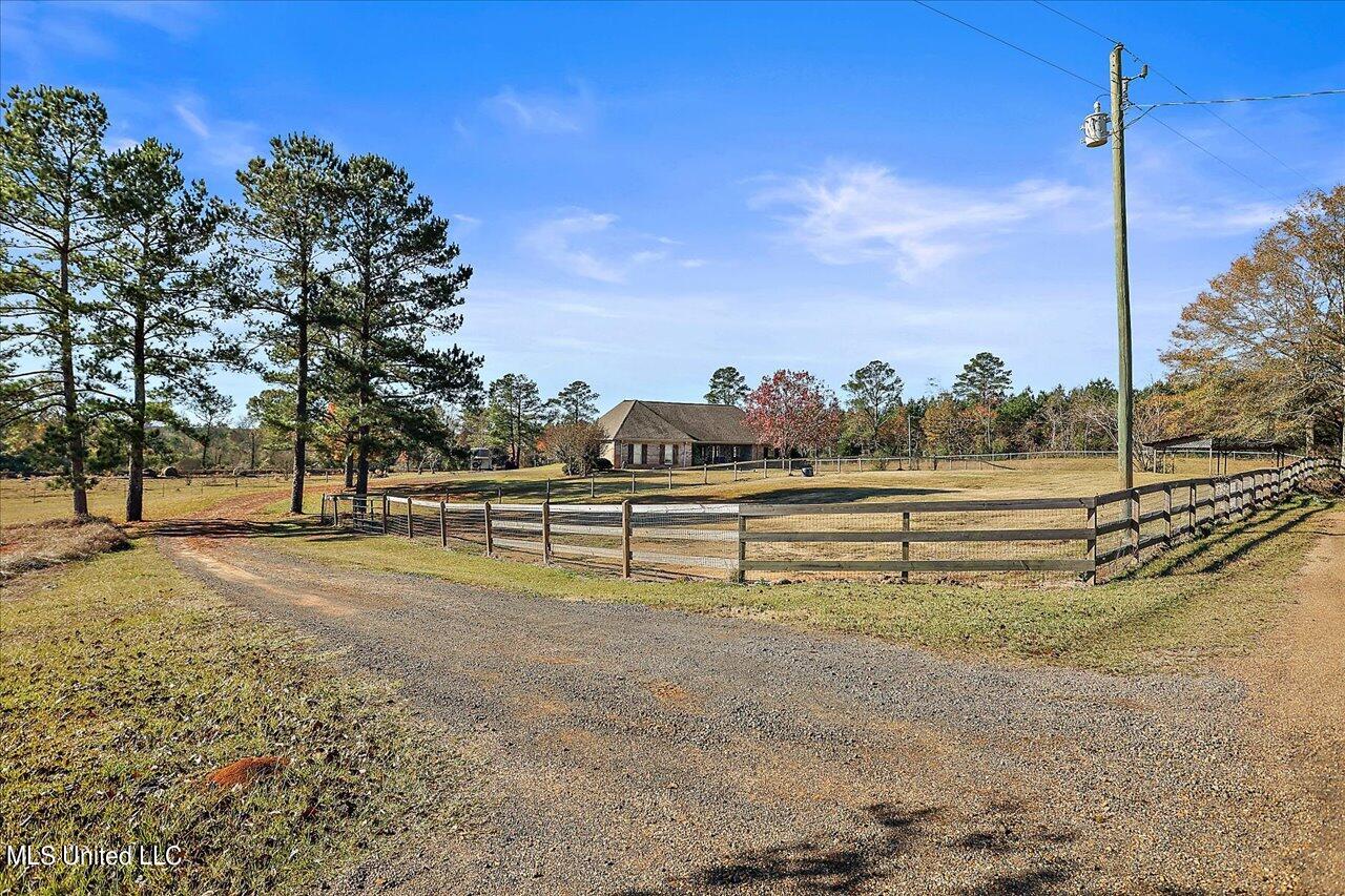 601 Henry Thurman Road Mount Olive, MS 39119 - Photo 53 of 86 54-601 Henry Thurman Rd