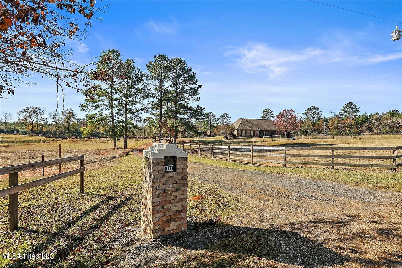 601 Henry Thurman Road Mount Olive, MS 39119 - Photo 54 of 86 55-601 Henry Thurman Rd