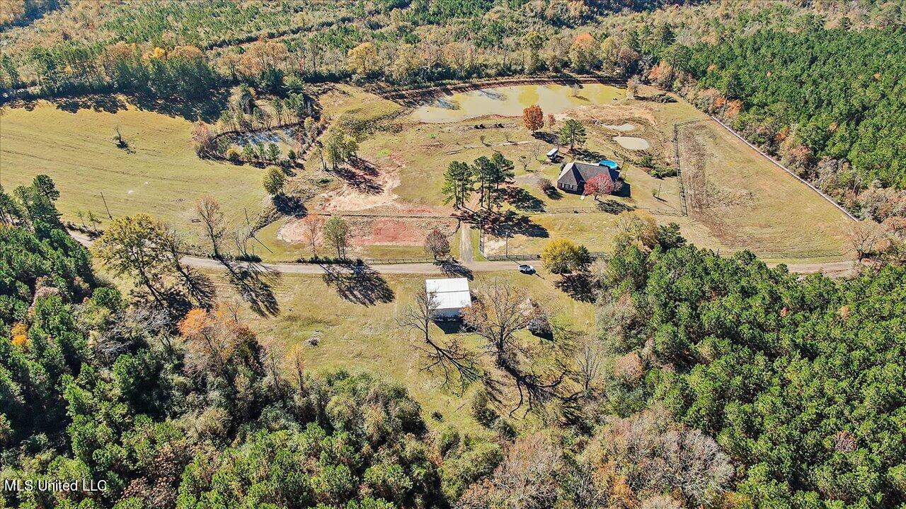 601 Henry Thurman Road Mount Olive, MS 39119 - Photo 69 of 86 71-601 Henry Thurman Rd