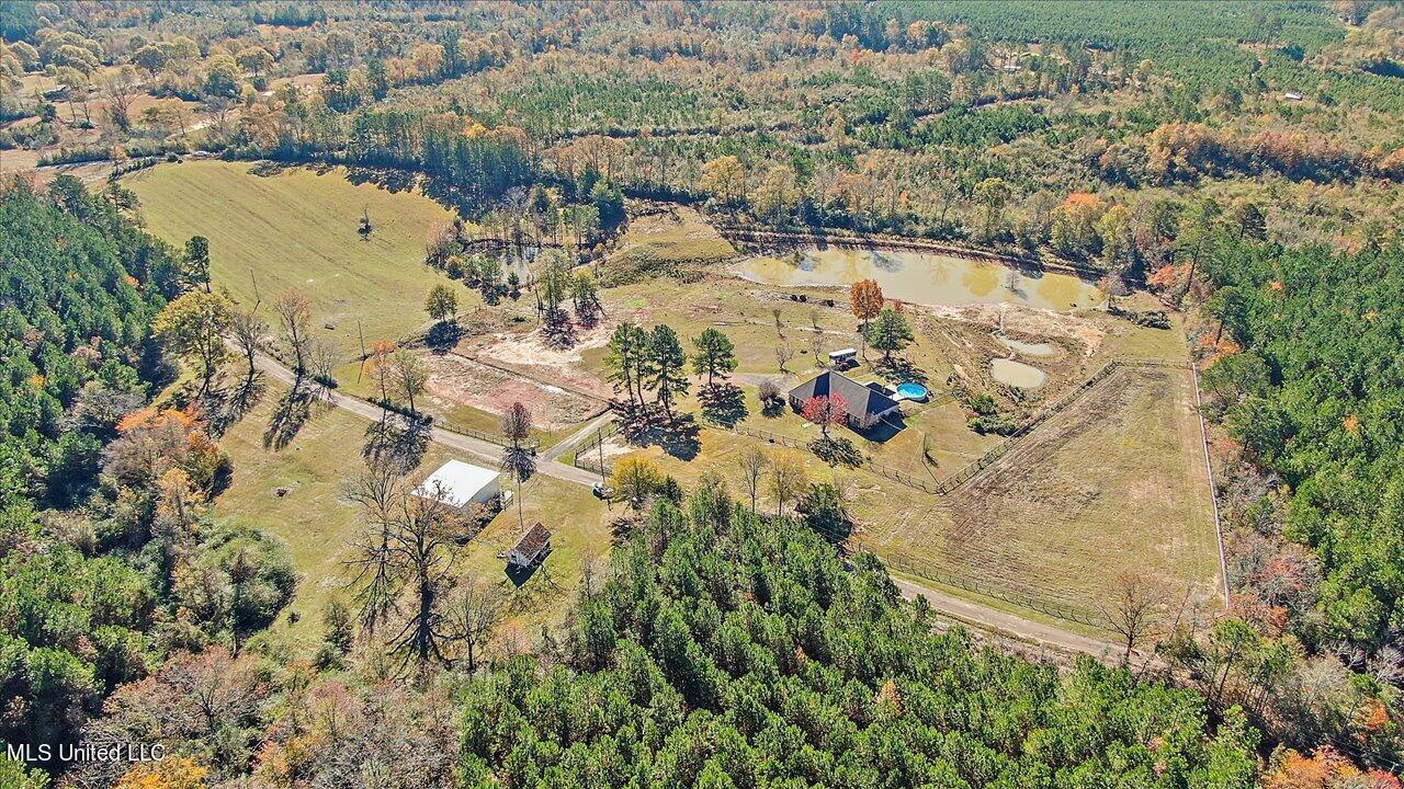 601 Henry Thurman Road Mount Olive, MS 39119 - Photo 70 of 86 73-601 Henry Thurman Rd