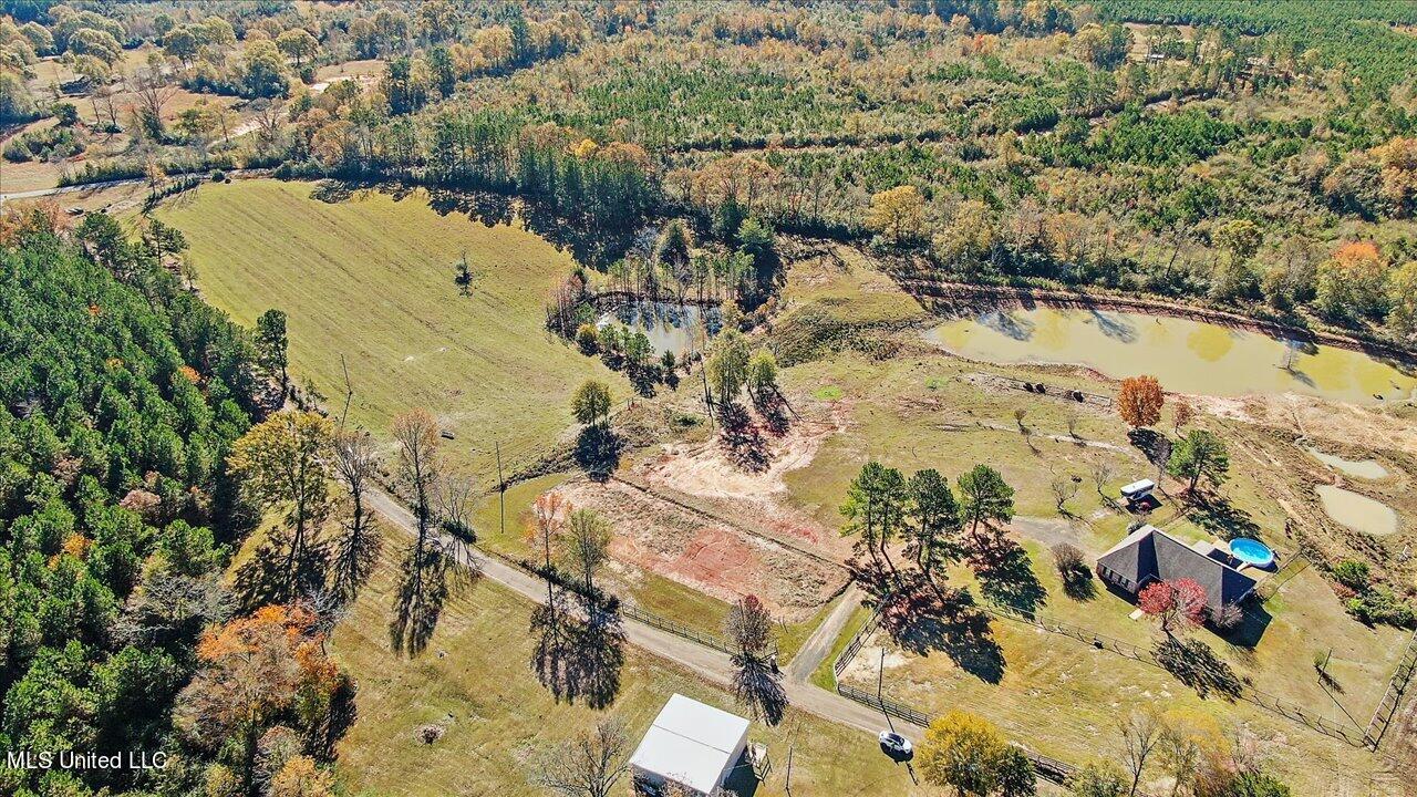 601 Henry Thurman Road Mount Olive, MS 39119 - Photo 71 of 86 74-601 Henry Thurman Rd