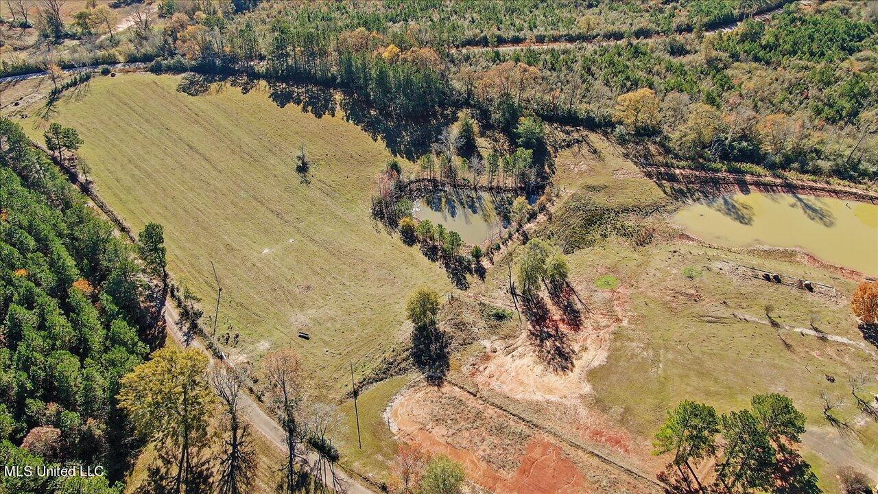 601 Henry Thurman Road Mount Olive, MS 39119 - Photo 72 of 86 75-601 Henry Thurman Rd