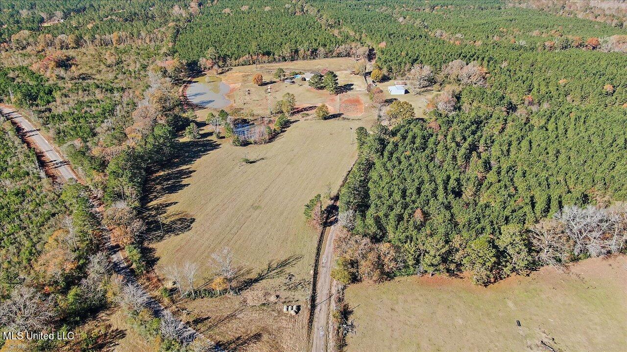 601 Henry Thurman Road Mount Olive, MS 39119 - Photo 74 of 86 77-601 Henry Thurman Rd