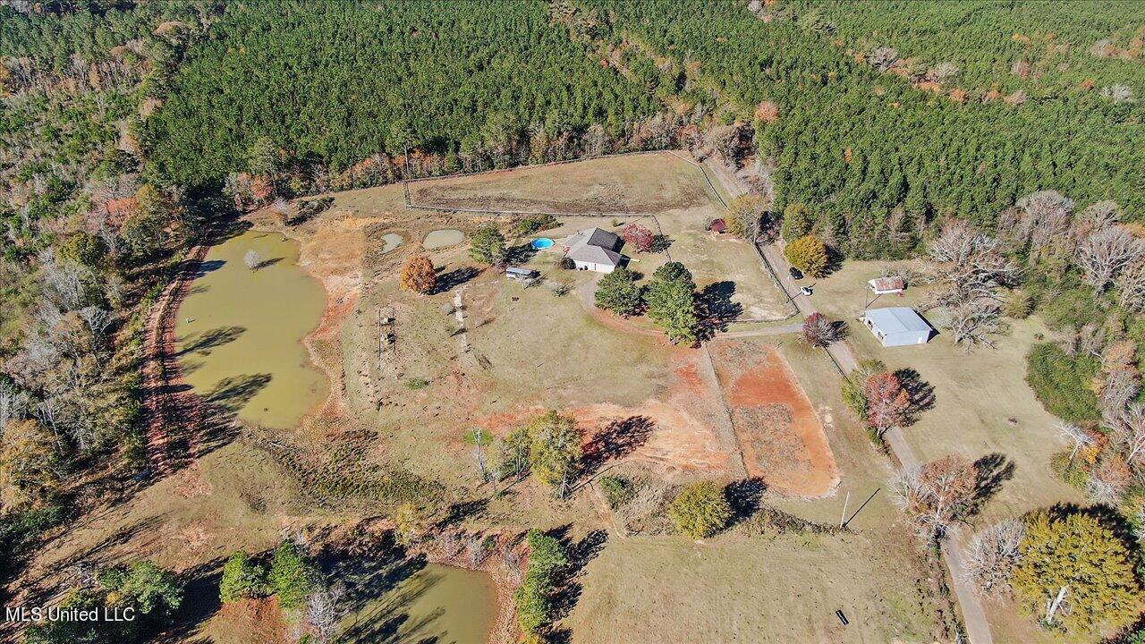601 Henry Thurman Road Mount Olive, MS 39119 - Photo 75 of 86 78-601 Henry Thurman Rd