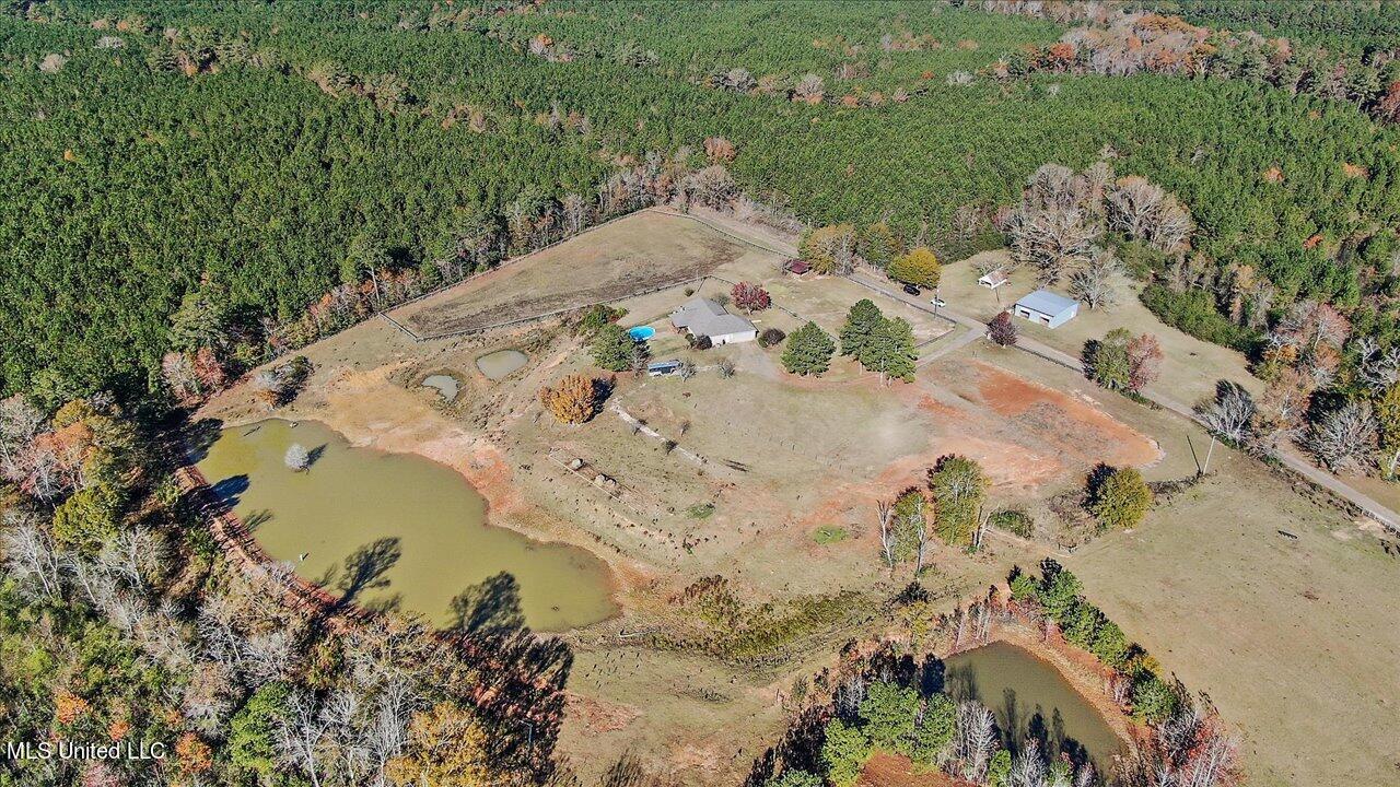 601 Henry Thurman Road Mount Olive, MS 39119 - Photo 76 of 86 79-601 Henry Thurman Rd