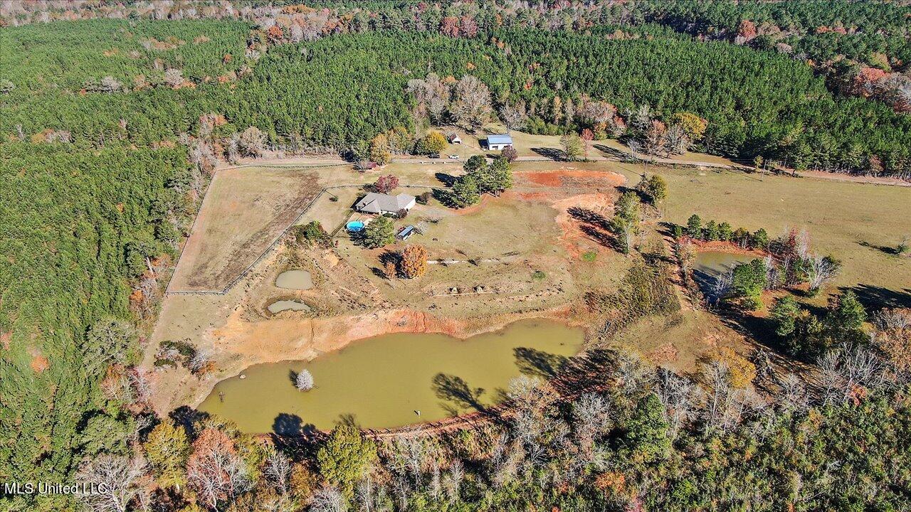601 Henry Thurman Road Mount Olive, MS 39119 - Photo 77 of 86 80-601 Henry Thurman Rd