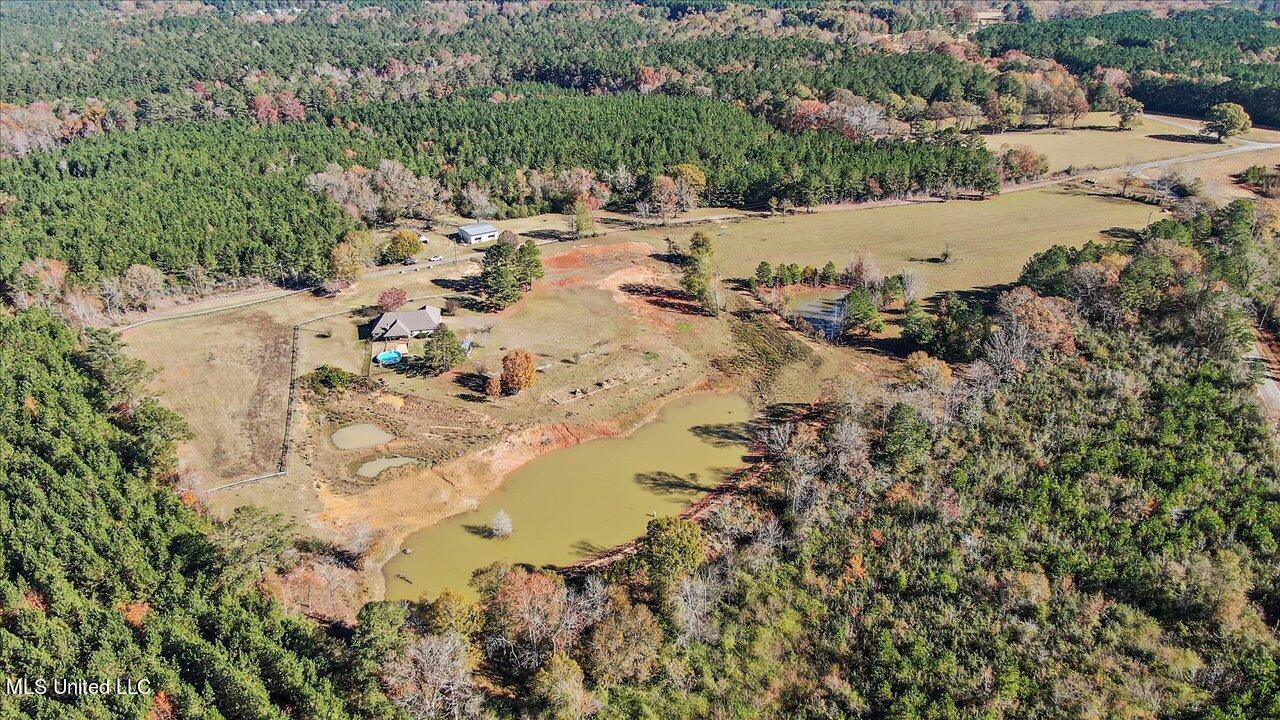 601 Henry Thurman Road Mount Olive, MS 39119 - Photo 78 of 86 81-601 Henry Thurman Rd