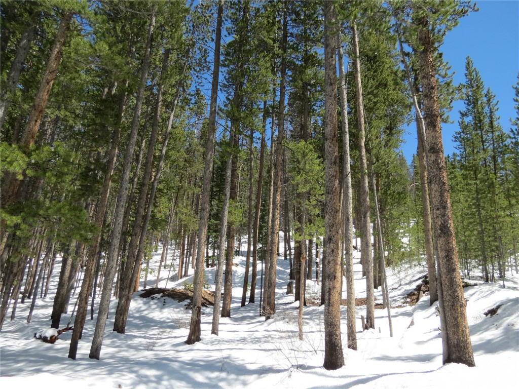 496 Moonstone Road Breckenridge, CO 80424 - Photo 1 of 13 Gallery Image 1