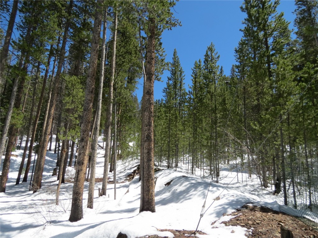 496 Moonstone Road Breckenridge, CO 80424 - Photo 2 of 13 Gallery Image 2