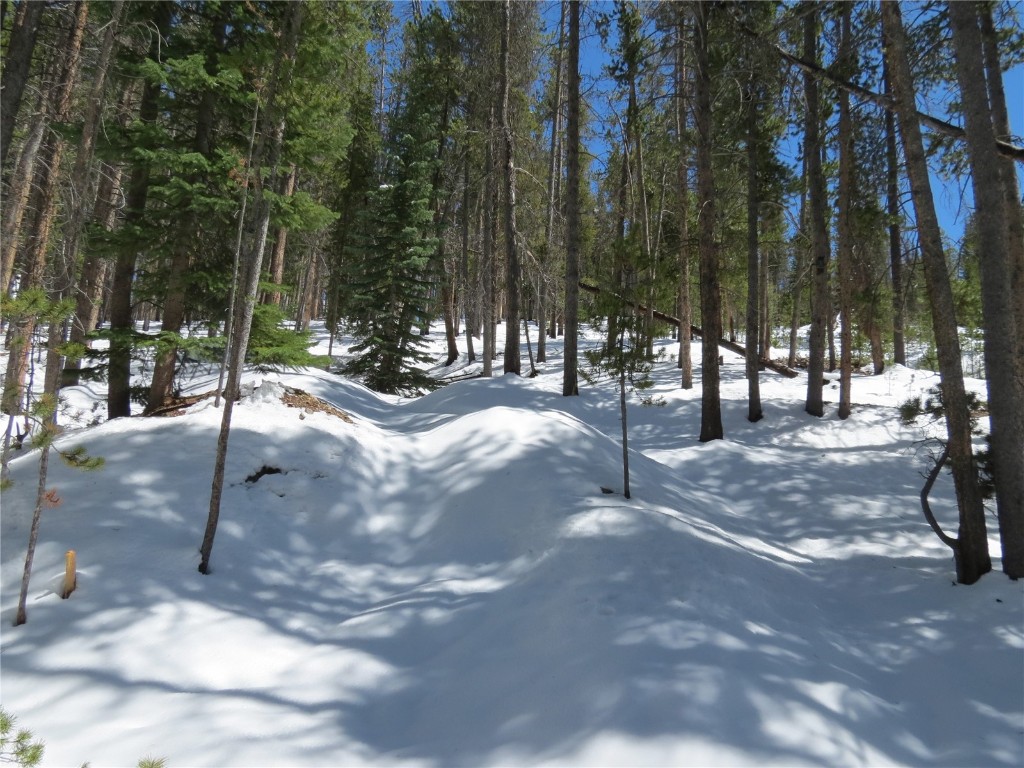 496 Moonstone Road Breckenridge, CO 80424 - Photo 3 of 13 Gallery Image 3
