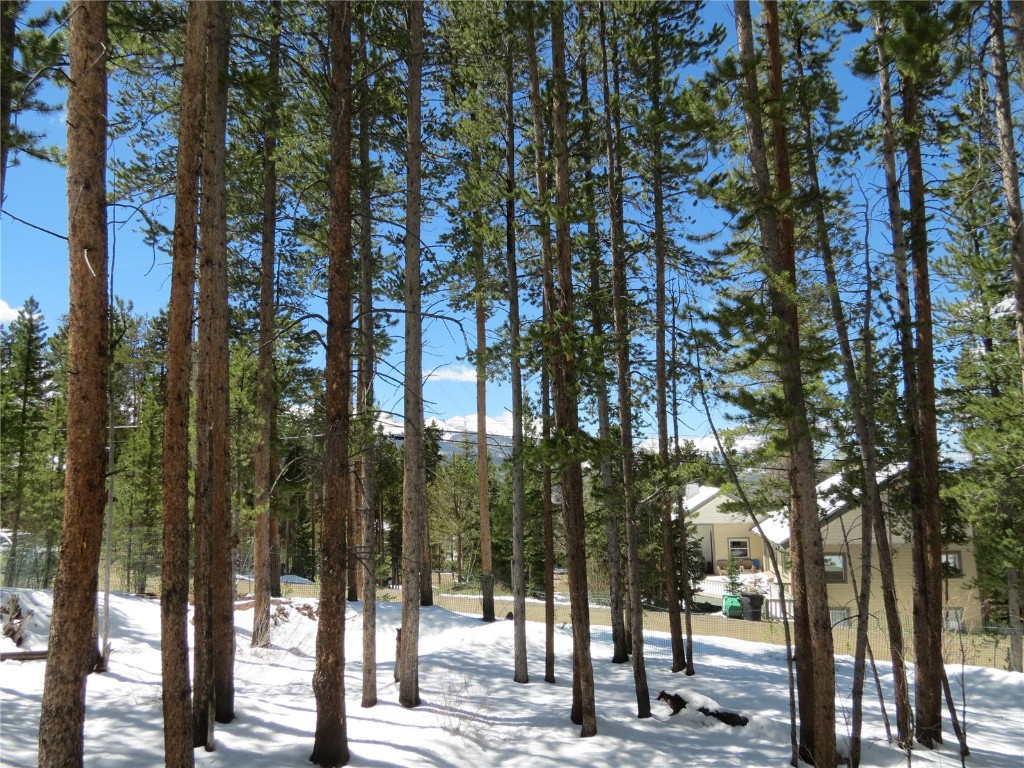 496 Moonstone Road Breckenridge, CO 80424 - Photo 4 of 13 Gallery Image 4