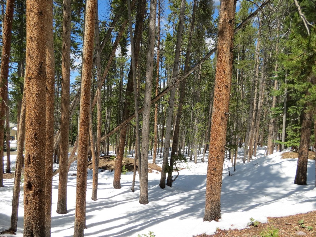 496 Moonstone Road Breckenridge, CO 80424 - Photo 6 of 13 Gallery Image 6