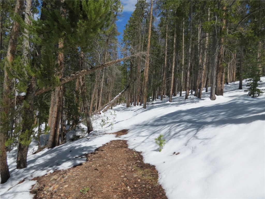 496 Moonstone Road Breckenridge, CO 80424 - Photo 7 of 13 Gallery Image 7