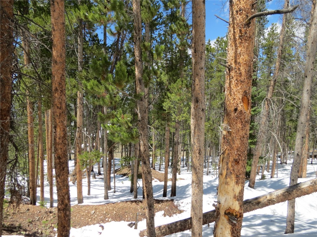 496 Moonstone Road Breckenridge, CO 80424 - Photo 8 of 13 Gallery Image 8