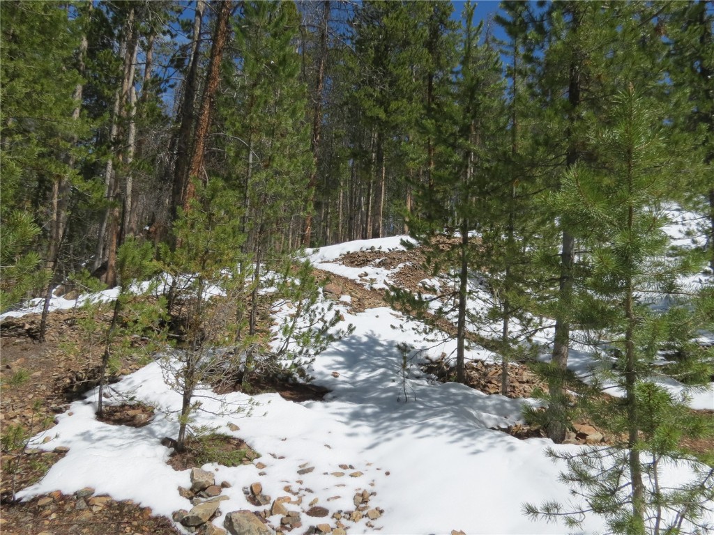 496 Moonstone Road Breckenridge, CO 80424 - Photo 9 of 13 Gallery Image 9