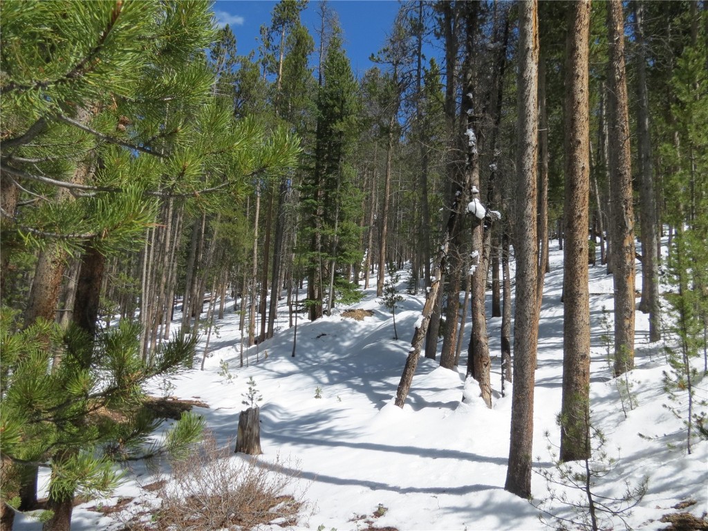 496 Moonstone Road Breckenridge, CO 80424 - Photo 10 of 13 Gallery Image 10