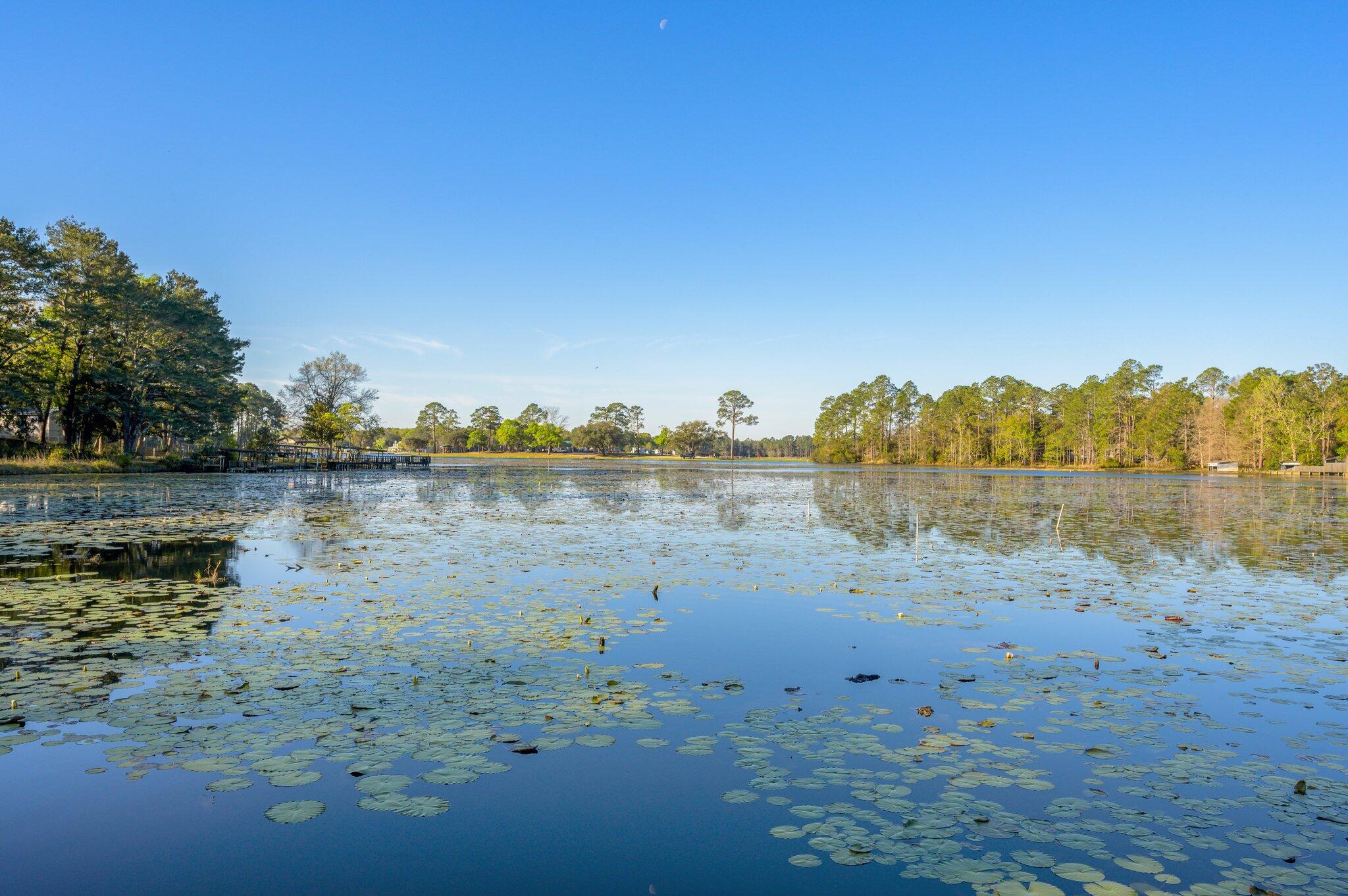 679 Squirrel Road DeFuniak Springs, FL 32433 - Photo 4 of 57 a view of lake