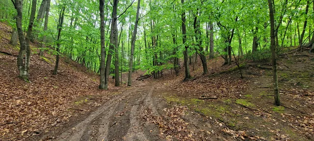 $350,000 | Avenue D Pentwater Mi 49449, Pentwater, MI 49449