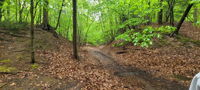 $350,000 | Avenue D Pentwater Mi 49449, Pentwater, MI 49449