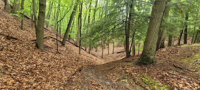 $350,000 | Avenue D Pentwater Mi 49449, Pentwater, MI 49449