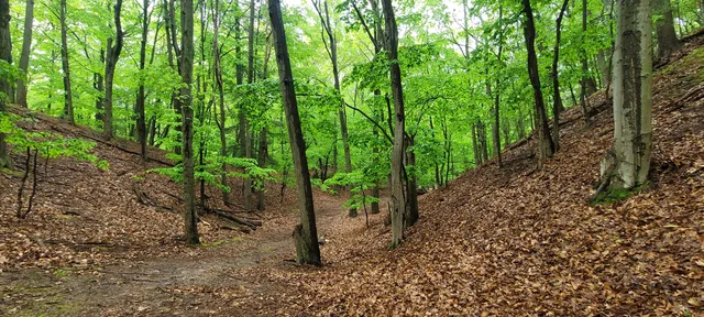 $350,000 | Avenue D Pentwater Mi 49449, Pentwater, MI 49449