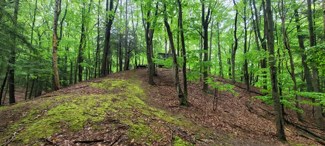 $350,000 | Avenue D Pentwater Mi 49449, Pentwater, MI 49449