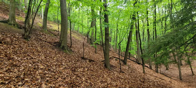 $350,000 | Avenue D Pentwater Mi 49449, Pentwater, MI 49449