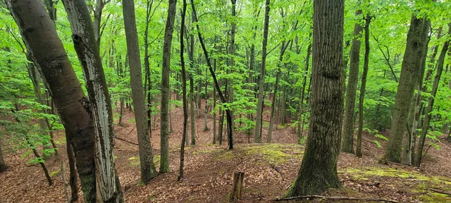 $350,000 | Avenue D Pentwater Mi 49449, Pentwater, MI 49449