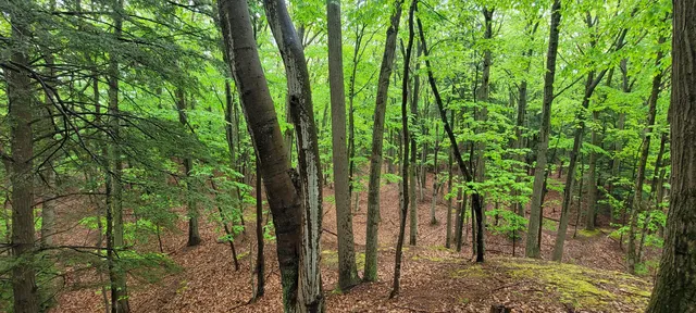 $350,000 | Avenue D Pentwater Mi 49449, Pentwater, MI 49449