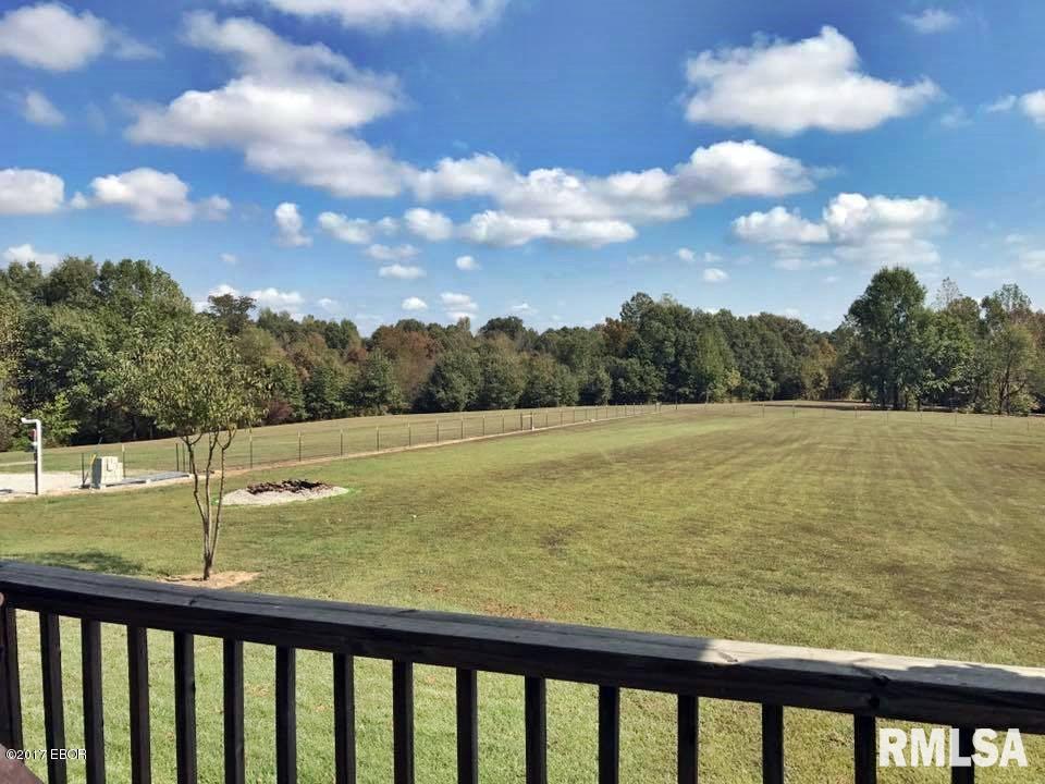 6202 Old Marion Road Metropolis, IL 62960 - Photo 23 of 50