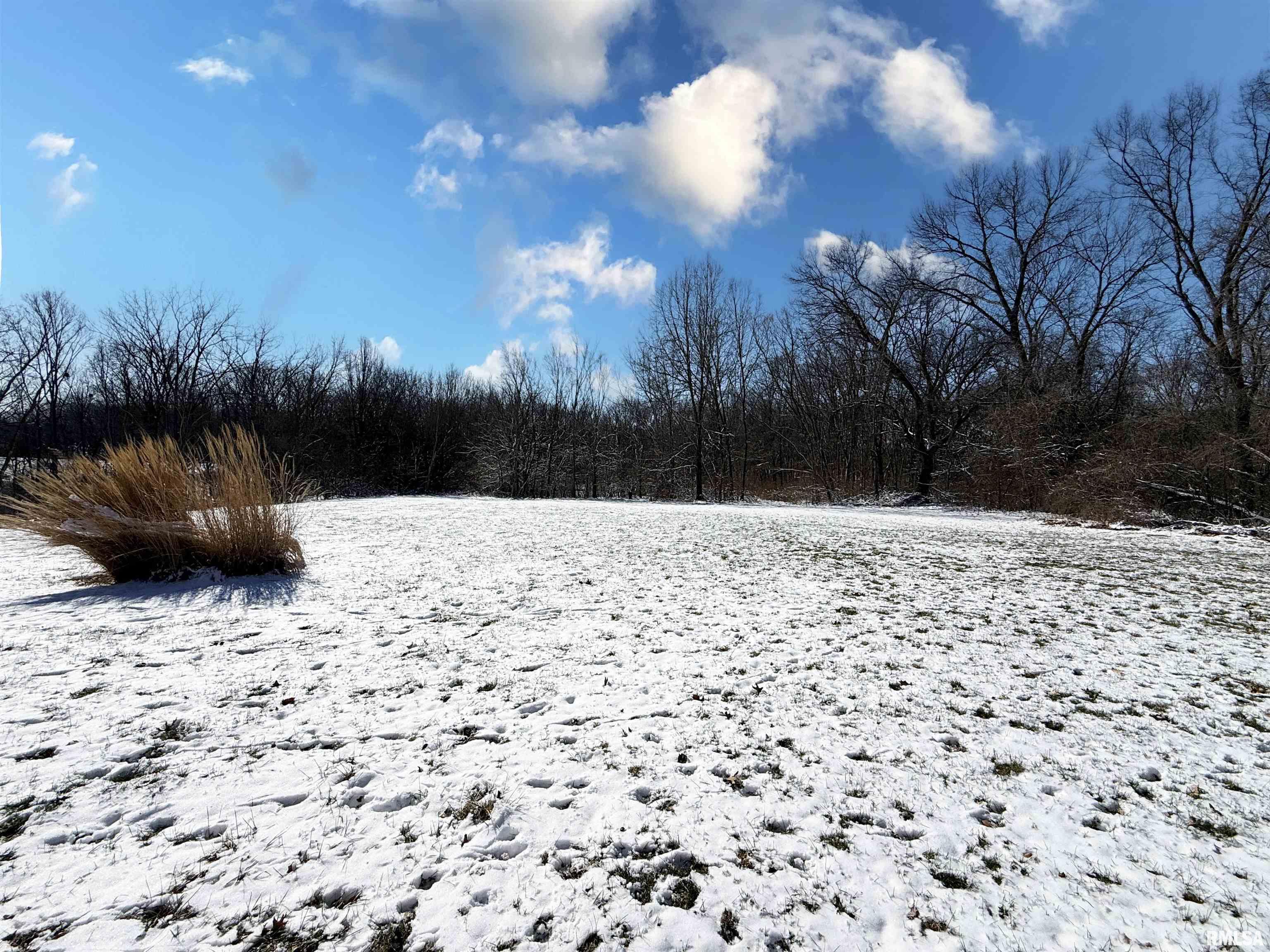 15402 West Schlink Road Brimfield, IL 61517 - Photo 44 of 45