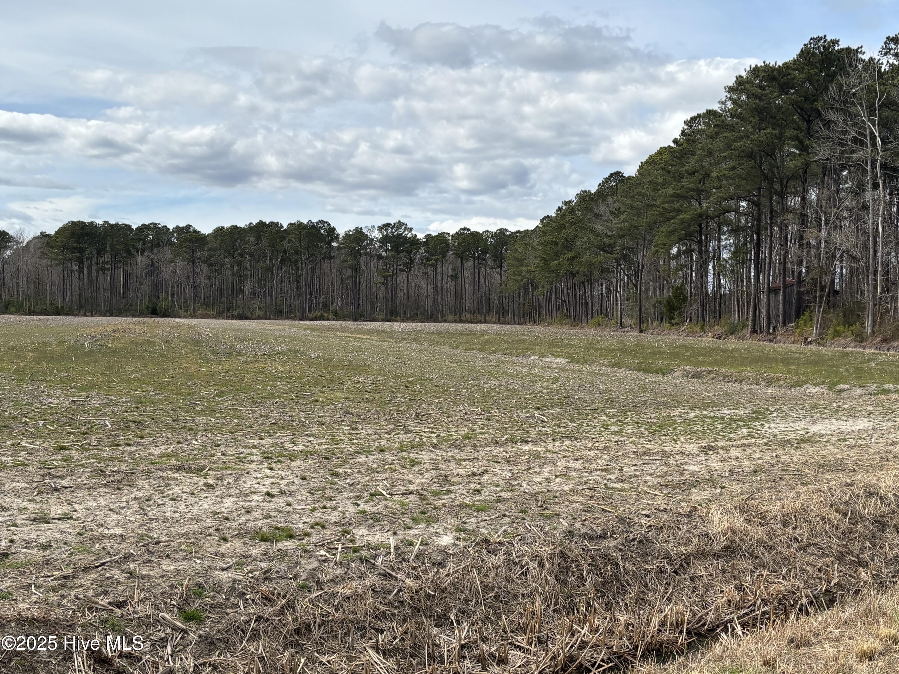 Tbd Florence Road Merritt, NC 28556 - Photo 16 of 17 IMG_0627