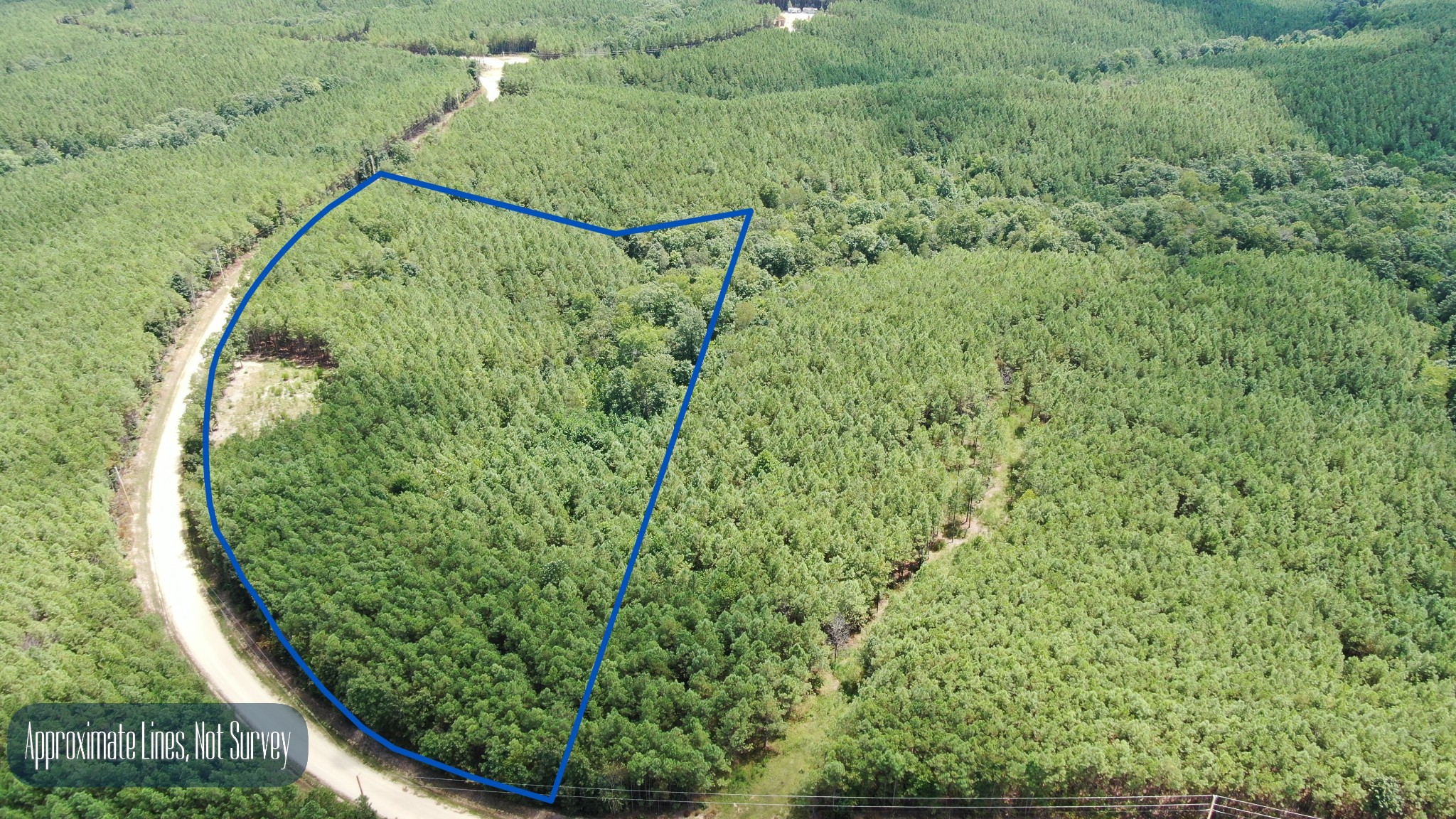 586 Seiber Ridge Road Hohenwald, TN 38462 - Photo 2 of 32 a view of a backyard