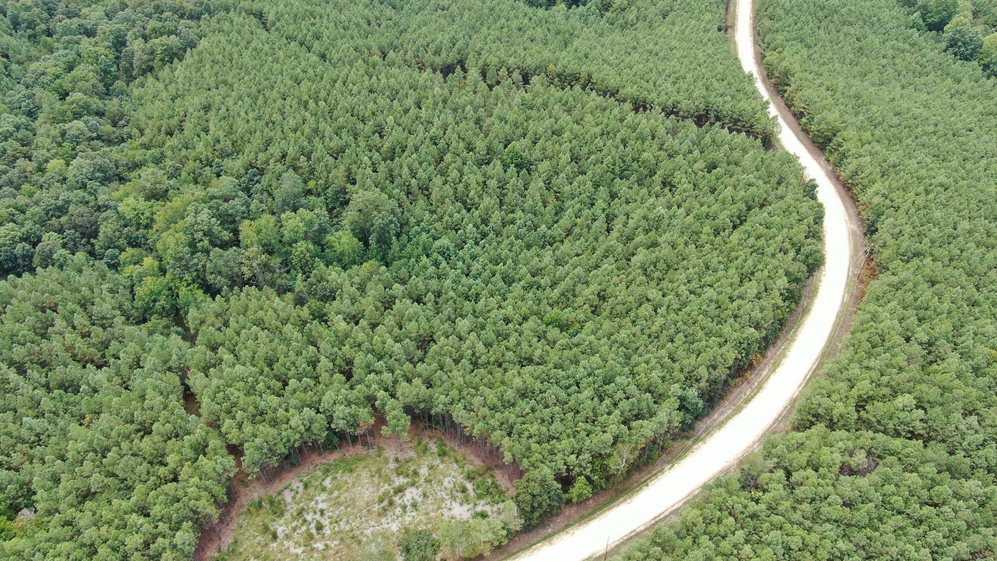 586 Seiber Ridge Road Hohenwald, TN 38462 - Photo 3 of 32 a view of a garden