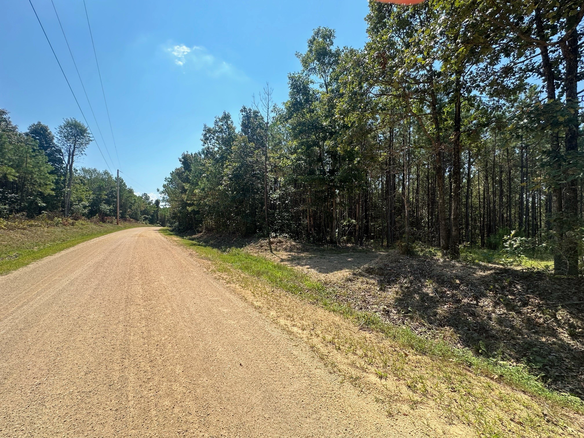 586 Seiber Ridge Road Hohenwald, TN 38462 - Photo 9 of 32 a view of a backyard with trees