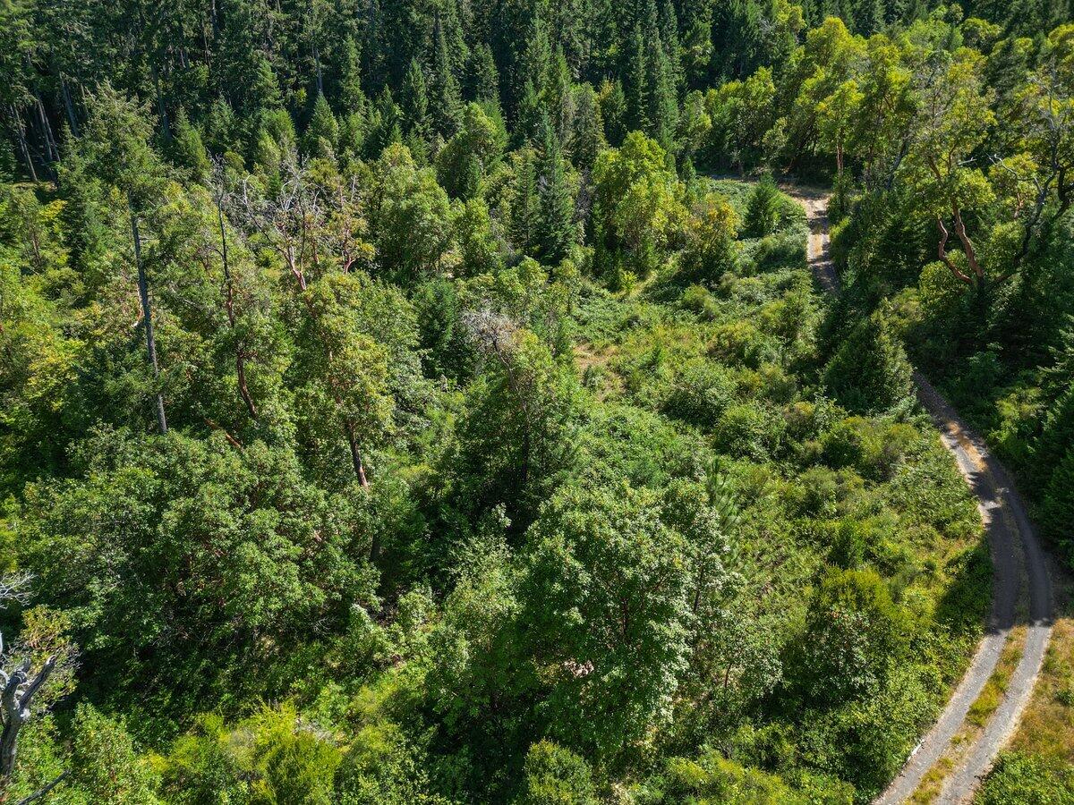 433 Old Stage Road Wolf Creek, OR 97497 - Photo 3 of 13 Aerial