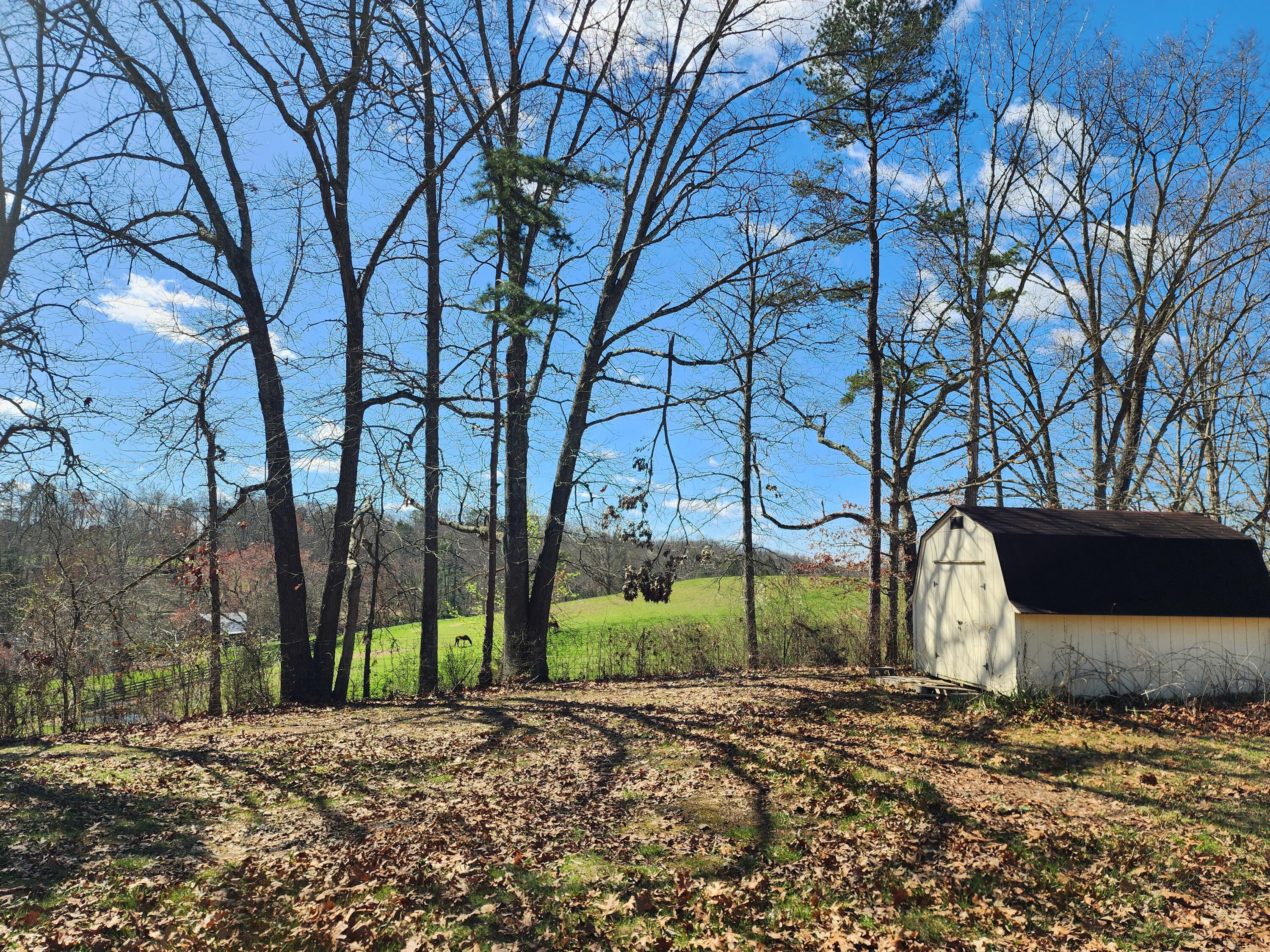 141 County Farm Road London, KY 40741 - Photo 7 of 20 20240310_142807