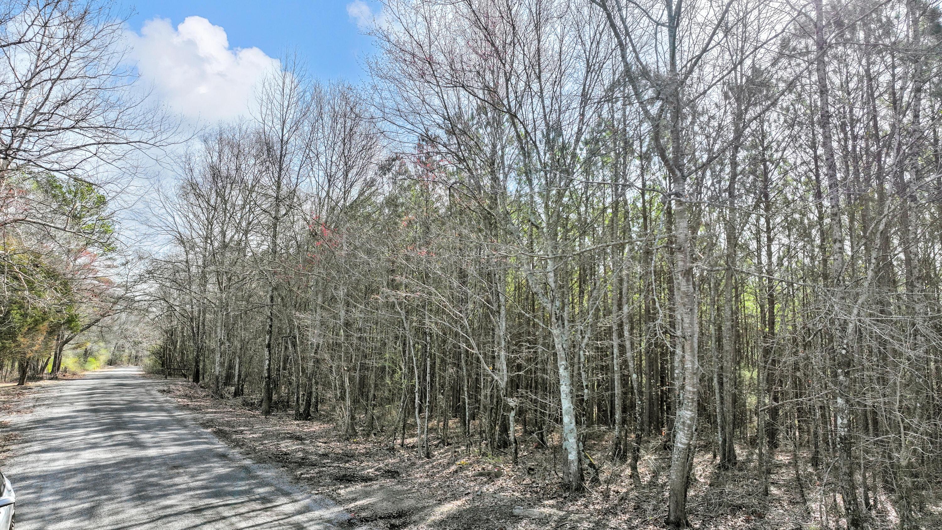 Lot 2 Duncan Road Nauvoo, AL 35578 - Photo 4 of 28 Gallery Image 4