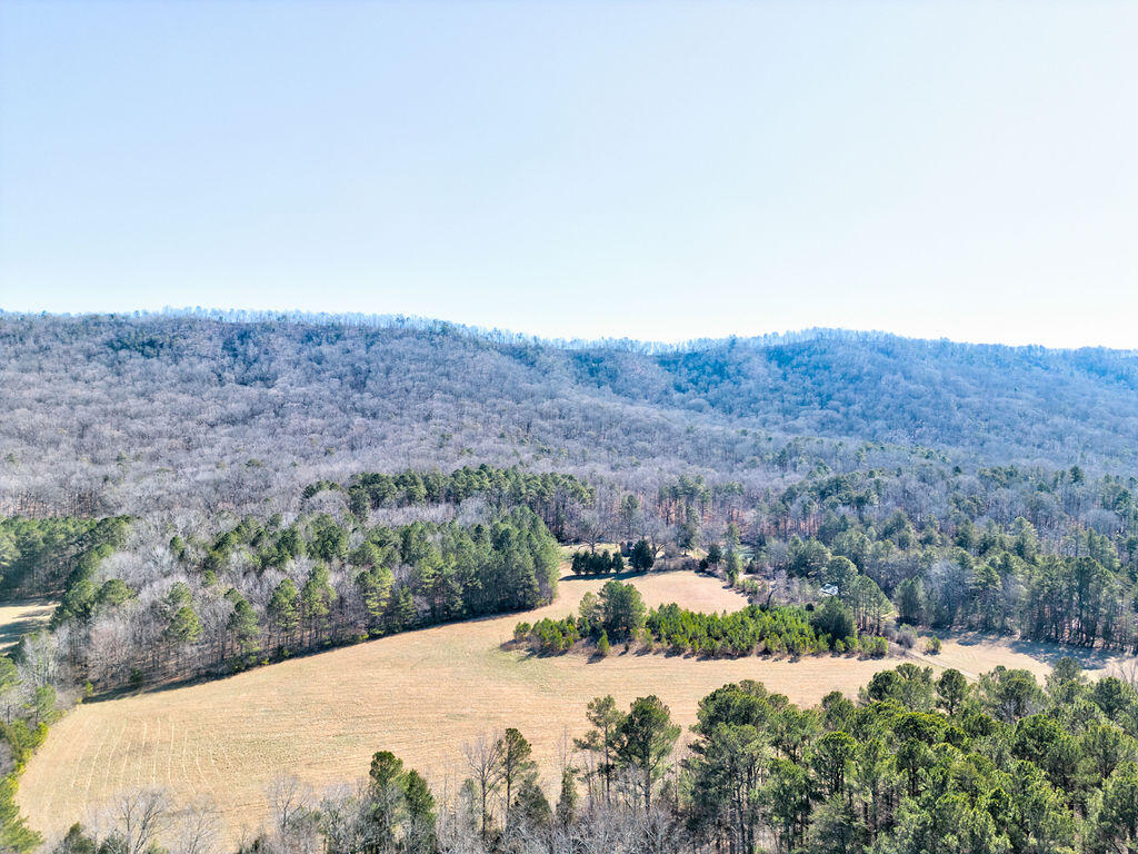 1935 Halls Valley Road Trion, GA 30753 - Photo 9 of 70 DJI_0004_5_6