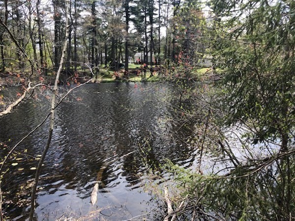 37 Lillian Road Stoughton, MA 02072 - Photo 18 of 28 Gallery Image 18