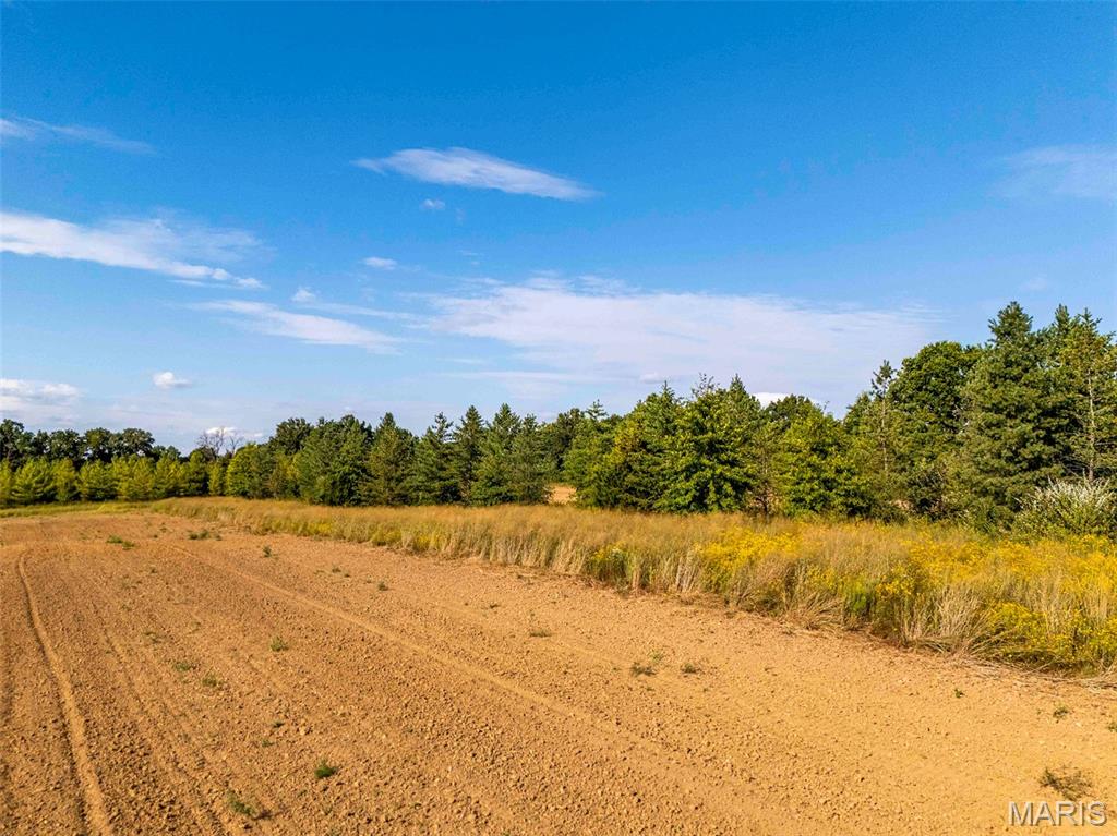 0 Red Oak Road High Hill, MO 63350 - Photo 11 of 31