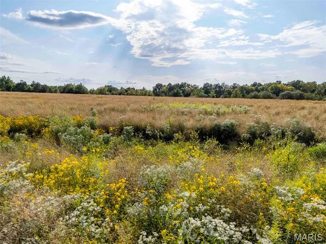 $334,400 | 0 Red Oak Road, High Hill, MO 63350