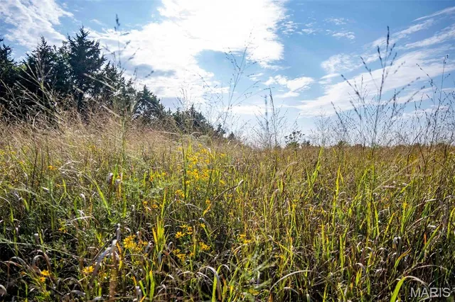 $334,400 | 0 Red Oak Road, High Hill, MO 63350