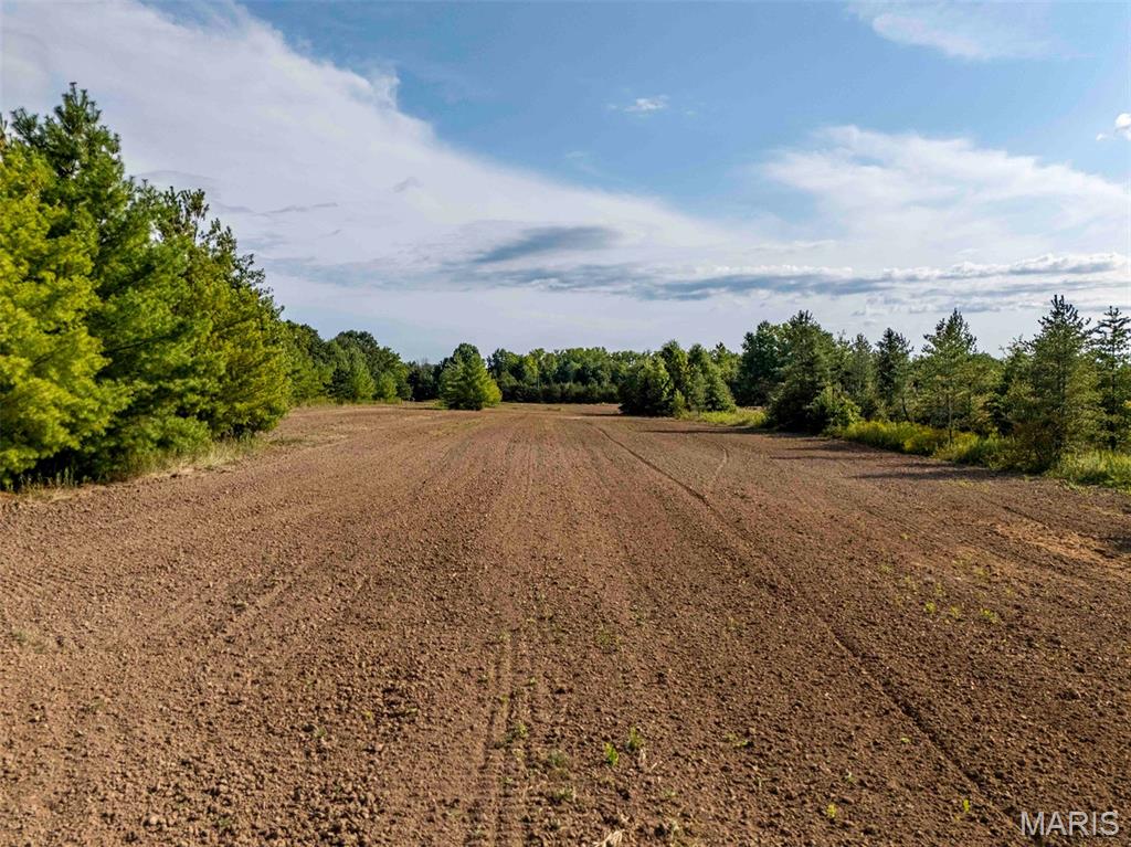 0 Red Oak Road High Hill, MO 63350 - Photo 9 of 31