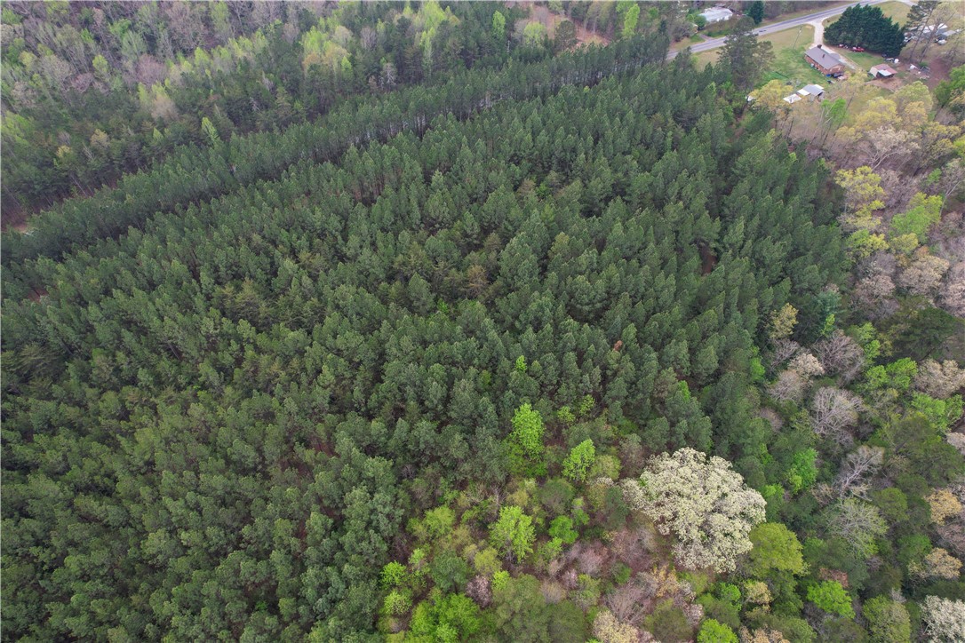 Lot 1 Oconee Creek Road Walhalla, SC 29691 - Photo 12 of 13 Gallery Image 12