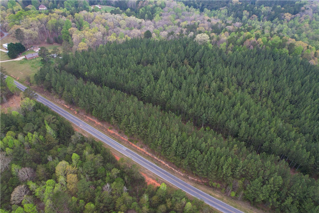 Lot 1 Oconee Creek Road Walhalla, SC 29691 - Photo 4 of 13 Gallery Image 4