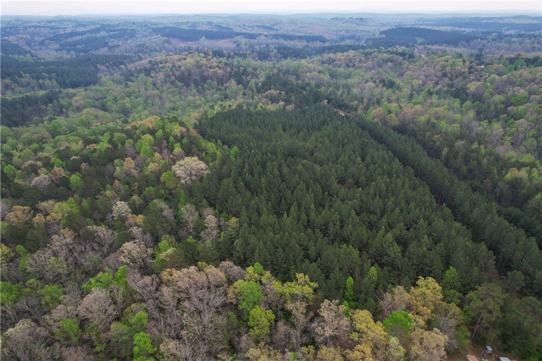 Lot 1 Oconee Creek Road Walhalla, SC 29691 - Photo 5 of 13 Gallery Image 5