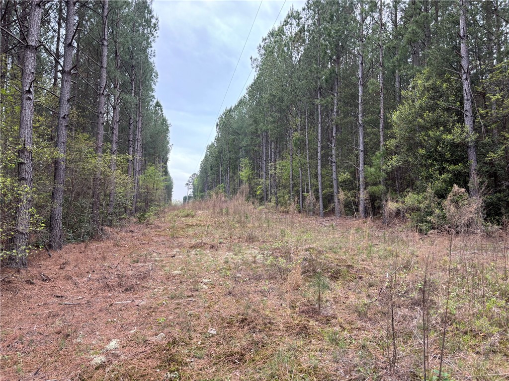 Lot 1 Oconee Creek Road Walhalla, SC 29691 - Photo 7 of 13 Gallery Image 7